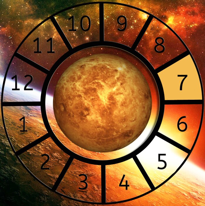 Venus shown within a Astrological House wheel highlighting the 7th House